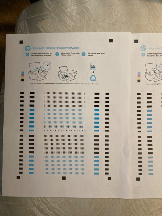 Print Output Example